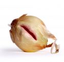Hybrid Onion by Christine Chin