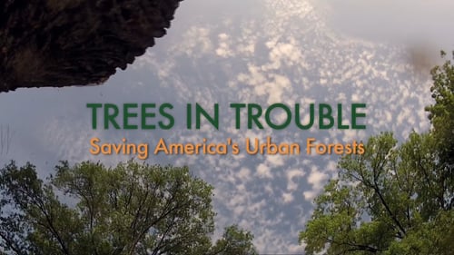 “What If…” Film Series presents: Trees in Trouble – ArtRage Gallery